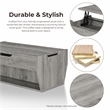 Furniture of America Edwards Wood Lift-Top Coffee Table in Vintage Gray