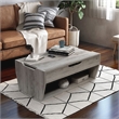 Furniture of America Edwards Wood Lift-Top Coffee Table in Vintage Gray