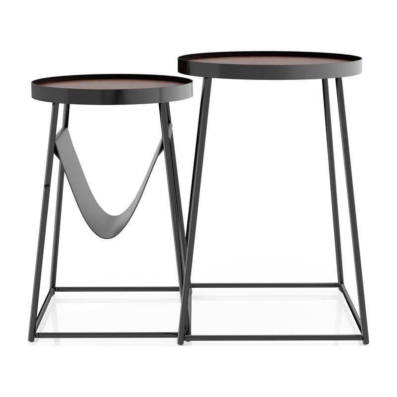 Furniture of America Lassatov Metal 2-Piece Nesting Table in Matte Black