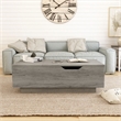 Furniture of America Harsin Wood Lift Top Coffee Table in Vintage Gray Oak