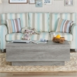 Furniture of America Harsin Wood Lift Top Coffee Table in Vintage Gray Oak