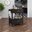 Furniture of America Arton Contemporary Wood 2-Drawer Kitchen Cart in Cappuccino
