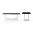 Furniture of America Baletto Wood 2-Piece Coffee Table Set in Oak and White