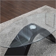 Furniture of America Pelletoni Wood 2-Piece Coffee Table Set in Black