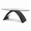 Furniture of America Pelletoni Wood 2-Piece Coffee Table Set in Black