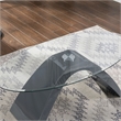 Furniture of America Pelletoni 2Pc Tempered Glass Top Coffee Table Set in Gray