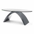 Furniture of America Pelletoni 2Pc Tempered Glass Top Coffee Table Set in Gray