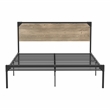 Furniture of America Budenholz Metal Queen Platform Bed in Gray