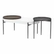 Furniture of America Hylen Metal 2-Piece Coffee Table Set in Gray