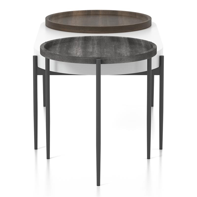 Furniture of America Hylen Metal 2-Piece Coffee Table Set in Gray