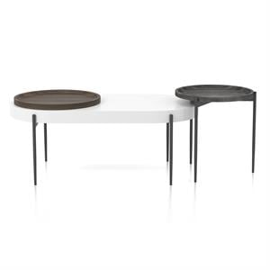 Furniture of America Hylen Metal 2-Piece Coffee Table Set in Gray