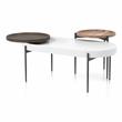 Furniture of America Hylen Metal 2-Piece Coffee Table Set in Natural Tone