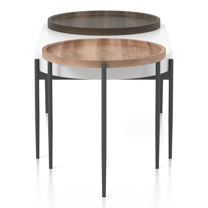 Furniture of America Hylen Metal 2-Piece Coffee Table Set in Natural Tone