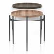 Furniture of America Hylen Metal 2-Piece Coffee Table Set in Natural Tone