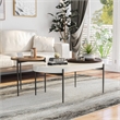 Furniture of America Hylen Metal 2-Piece Coffee Table Set in Natural Tone