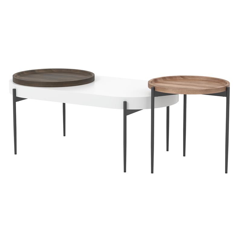 Furniture of America Hylen Metal 2-Piece Coffee Table Set in Natural Tone