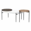 Furniture of America Hylen Metal 2-Piece Coffee Table Set in Natural Tone