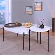 Furniture of America Hylen Metal 2-Piece Coffee Table Set in White