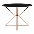 Furniture of America Leonisis Glass Top Round Dining Table in Gold