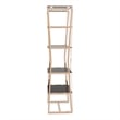 Furniture of America Abair Contemporary Glass Shelves Bookcase in Gold