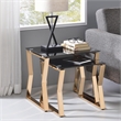 Furniture of America Abair 2-Piece Glass Top Nesting Table in Gold