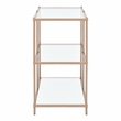 Furniture of America Mendry Metal 2-Shelf Console Table in Champagne Gold