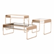 Furniture of America Mexller Contemporary Metal 3-Piece Coffee Table Set in Gold