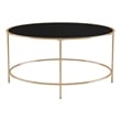 Furniture of America Rockbel Contemporary Glass Top Round Coffee Table in Gold