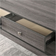 Furniture of America Lekwick Transitional Wood 2-Drawer Coffee Table in Gray