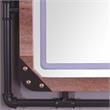 Furniture of America Karin Metal Wall Mirror with LED Light in Brown