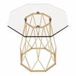 Furniture of America Growder Contemporary Glass Top End Table in Gold