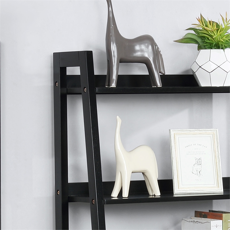 Furniture of America Ploomer Transitional Wood 1-Drawer Bookcase in Black