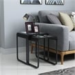 Furniture of America Shawton Glass Top 2-Piece Nesting Table Set in Black