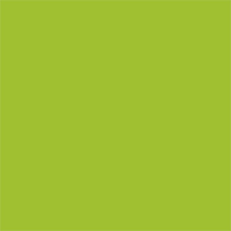 Furniture of America Creema Modern Wood 4-Shelf Bookcase Desk in Green