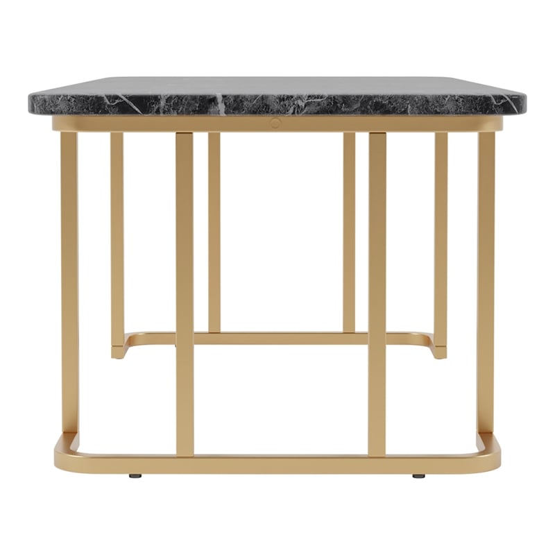 Furniture of America Clotten Contemporary Metal Coffee Table in Black