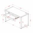 Furniture of America Marra Wood Writing Desk with USB in Sand Black and Natural