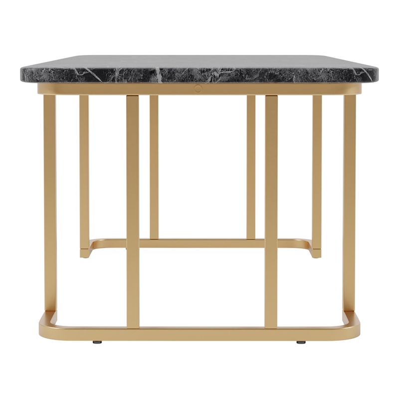 Furniture of America Clotten Metal 2-Piece Coffee Table Set in Gold and Black