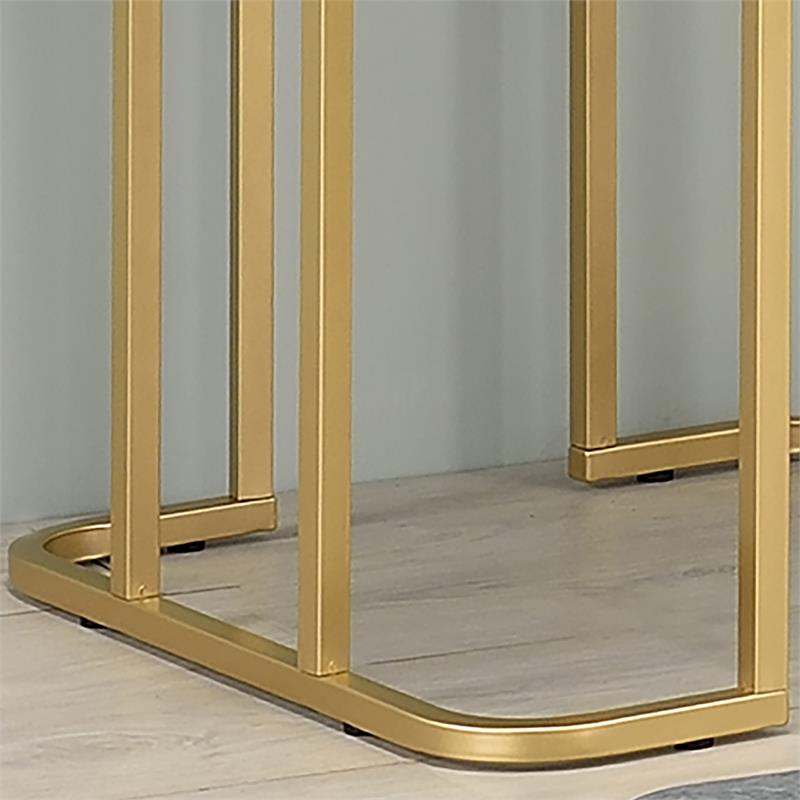 Furniture of America Clotten Metal 2-Piece Coffee Table Set in Gold and Black