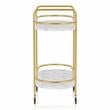 Furniture of America Delli Modern Metal 2-Shelf Serving Cart in Gold and White