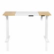 Furniture of America Quade Wood and Metal Height Adjustable Desk in White