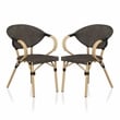 Furniture of America Borda Aluminum Patio Arm Chair in Brown (Set of 2)