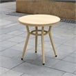 Furniture of America Devey Aluminum Round Patio Side Table in Natural Tone