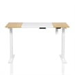 Quade Modern 2-Piece White Metal Adjustable Desk and Chair Home Office Set