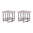 Furniture of America Humere Wood 1-Shelf End Table in Antique Gray (Set of 2)
