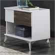 Furniture of America Acada Wood 1-Shelf End Table in White (Set of 2)