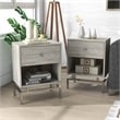Furniture of America Lyn Wood End Table with USB Port in Light Gray (Set of 2)
