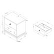Furniture of America Lyn Wood End Table with USB Port in Light Gray (Set of 2)