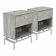 Furniture of America Lyn Wood End Table with USB Port in Light Gray (Set of 2)