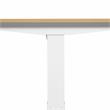 Furniture of America Tilah Modern Metal 2-Piece Desk and Chair Set in White