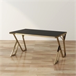 Furniture of America Egala Contemporary Black Glass Top Dining Table